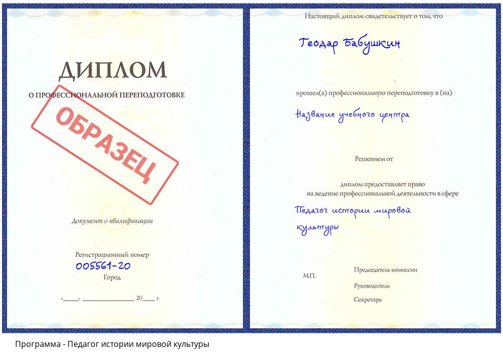 Педагог истории мировой культуры Петропавловск-Камчатский