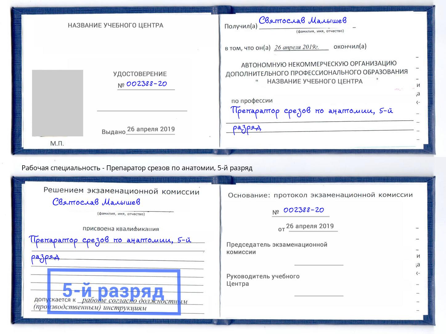 корочка 5-й разряд Препаратор срезов по анатомии Петропавловск-Камчатский