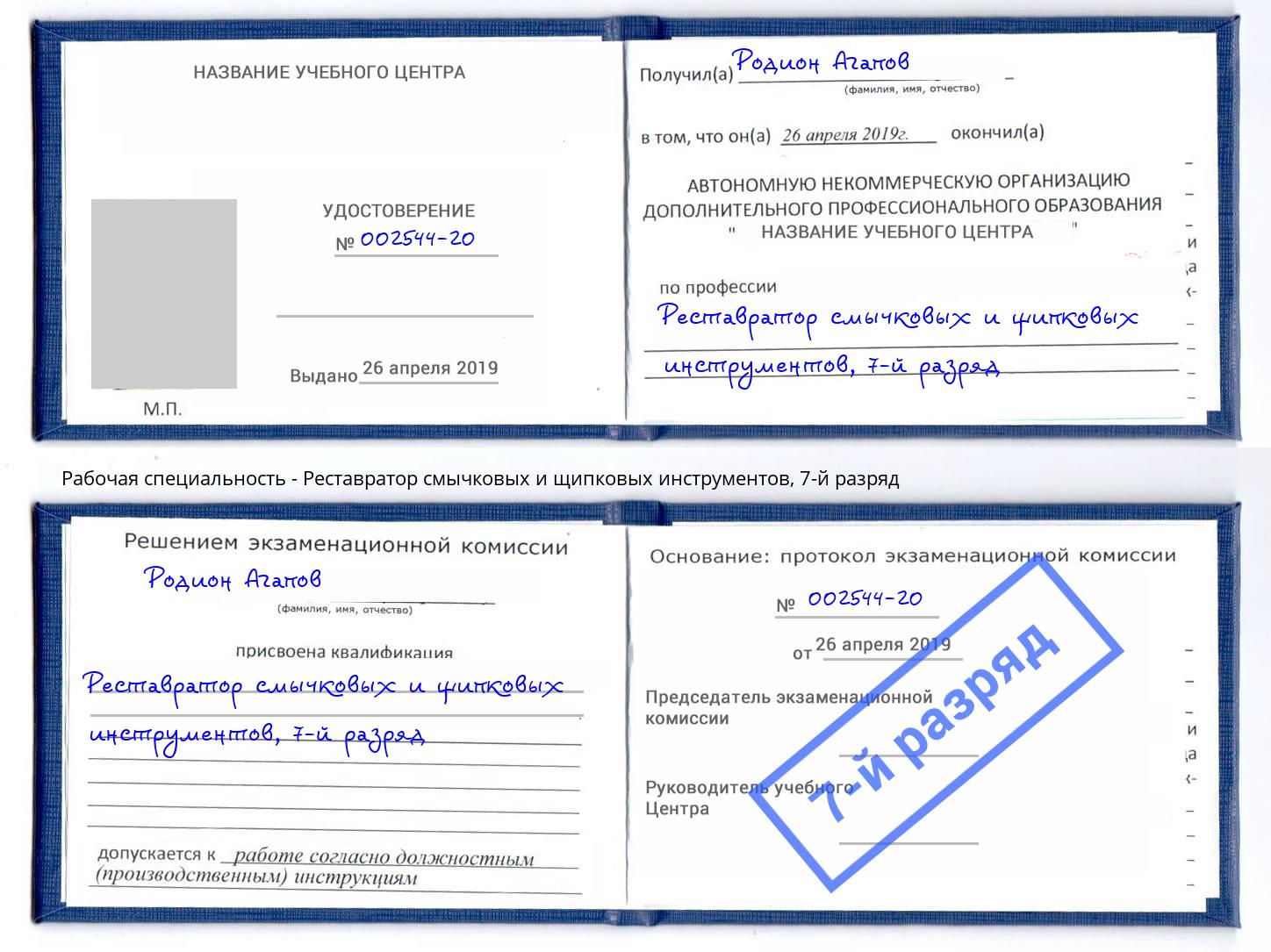 корочка 7-й разряд Реставратор смычковых и щипковых инструментов Петропавловск-Камчатский