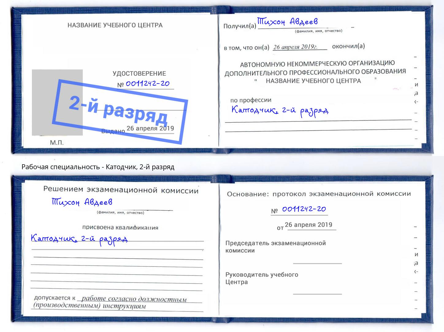 корочка 2-й разряд Катодчик Петропавловск-Камчатский