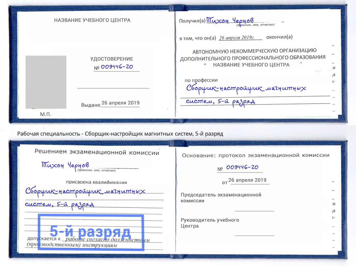 корочка 5-й разряд Сборщик-настройщик магнитных систем Петропавловск-Камчатский