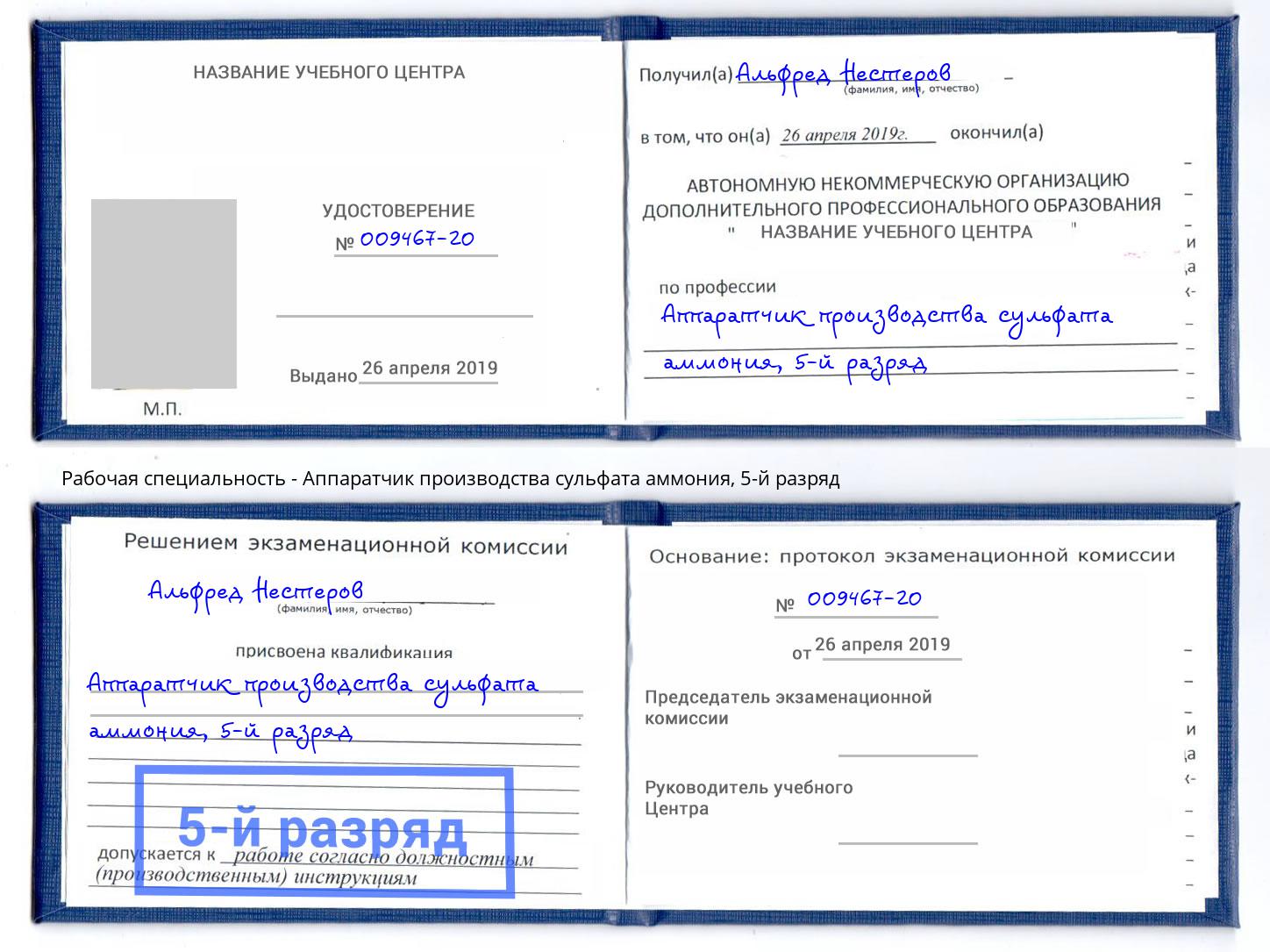 корочка 5-й разряд Аппаратчик производства сульфата аммония Петропавловск-Камчатский