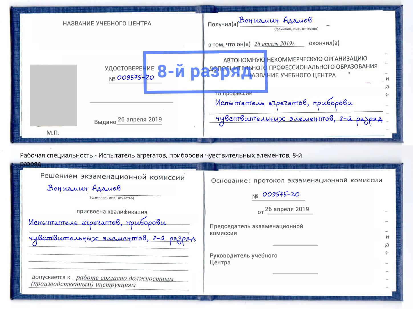 корочка 8-й разряд Испытатель агрегатов, приборови чувствительных элементов Петропавловск-Камчатский
